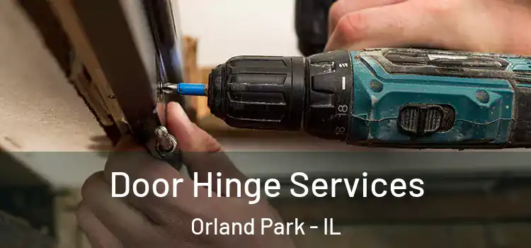 Door Hinge Services Orland Park - IL