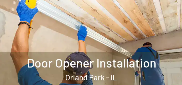 Door Opener Installation Orland Park - IL