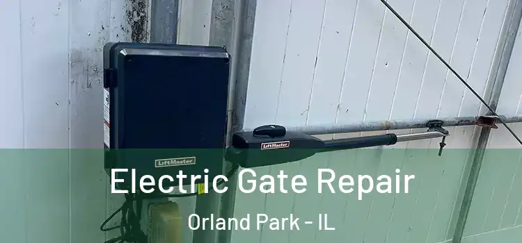 Electric Gate Repair Orland Park - IL