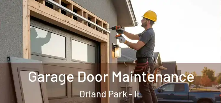 Garage Door Maintenance Orland Park - IL