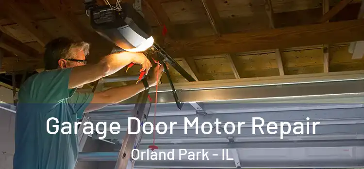  Garage Door Motor Repair Orland Park - IL