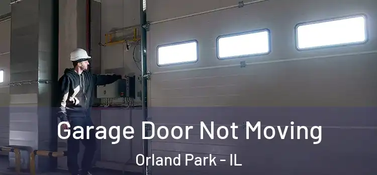  Garage Door Not Moving Orland Park - IL