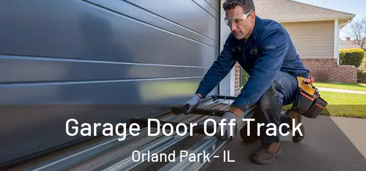  Garage Door Off Track Orland Park - IL
