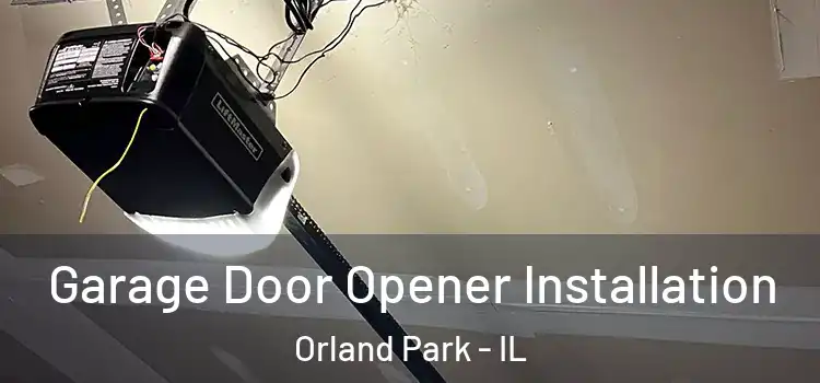  Garage Door Opener Installation Orland Park - IL