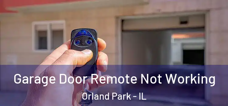  Garage Door Remote Not Working Orland Park - IL