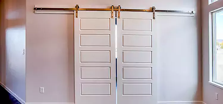 Glass Barn Door with Installation Hardware Kit Orland Park