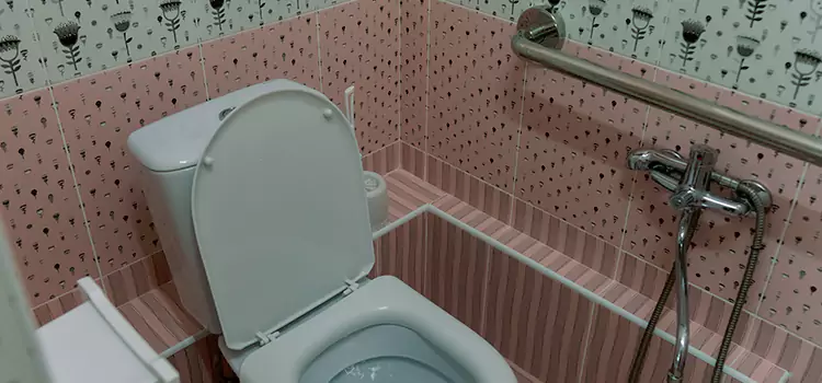 Meeting Diverse Needs With Accessible Restroom Solutions in Orland Park, IL