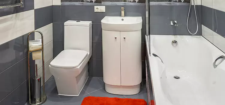 Hansgrohe Shaving Mirror Orland Park
