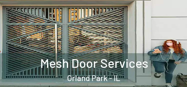 Mesh Door Services Orland Park - IL