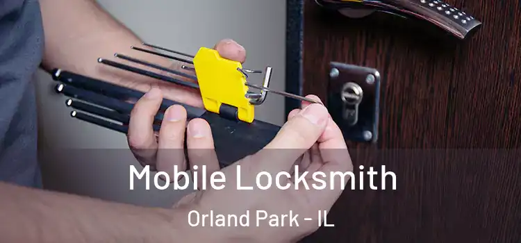 Mobile Locksmith Orland Park - IL