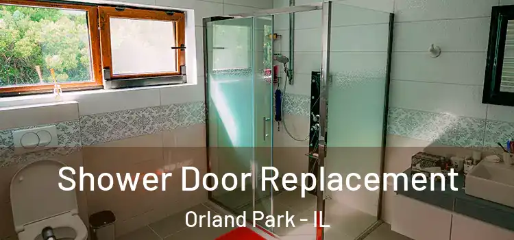 Shower Door Replacement Orland Park - IL