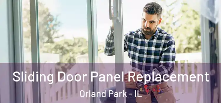  Sliding Door Panel Replacement Orland Park - IL