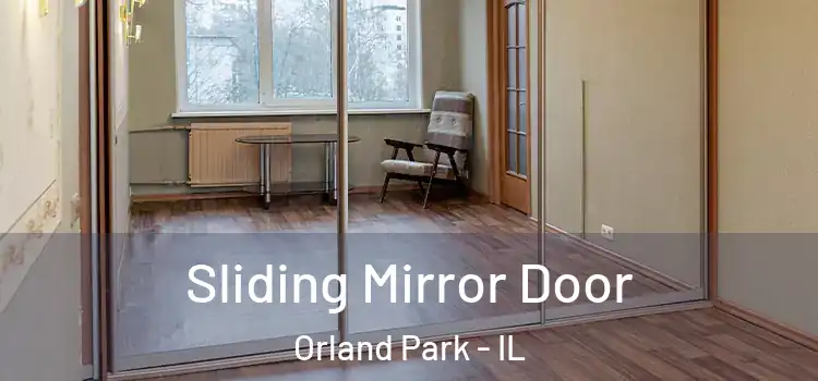  Sliding Mirror Door Orland Park - IL