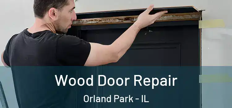 Wood Door Repair Orland Park - IL